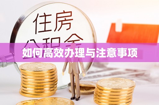 崇礼如何高效办理与注意事项