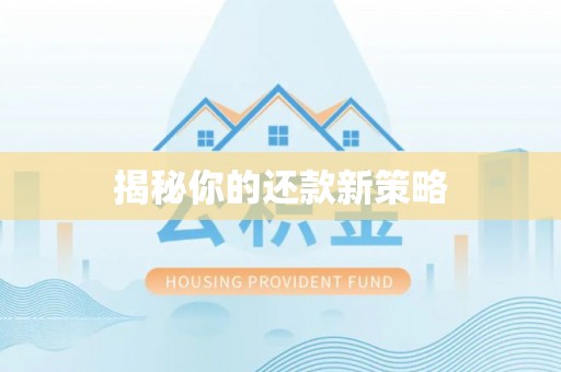 崇礼揭秘你的还款新策略