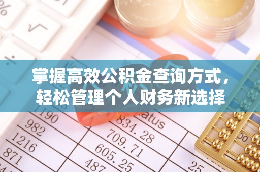 崇礼掌握高效公积金查询方式，轻松管理个人财务新选择
