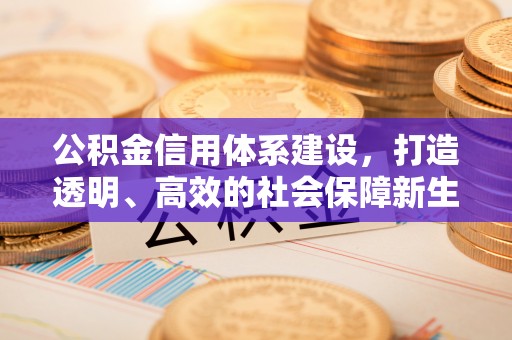 崇礼公积金信用体系建设，打造透明、高效的社会保障新生态