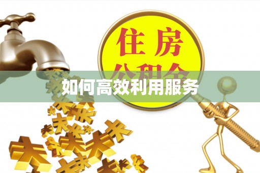 崇礼如何高效利用服务