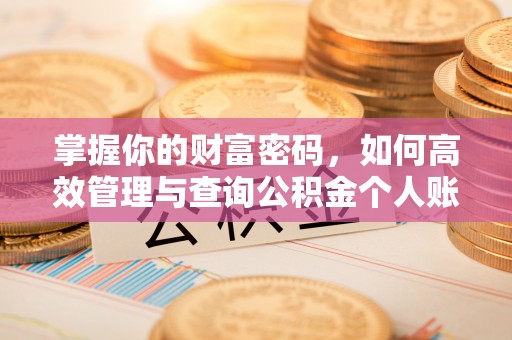 崇礼掌握你的财富密码，如何高效管理与查询公积金个人账户信息