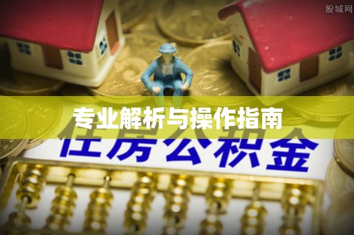 崇礼专业解析与操作指南