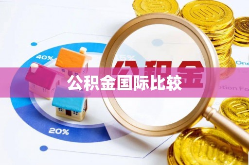 崇礼公积金国际比较